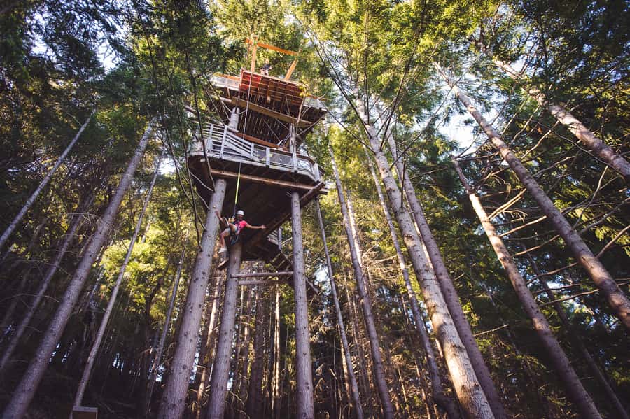 Queenstown: 1-Hour Zipline Tour with 2-Lines & 21-Meter Drop - Who should book this 2-line plus 21-meter drop?