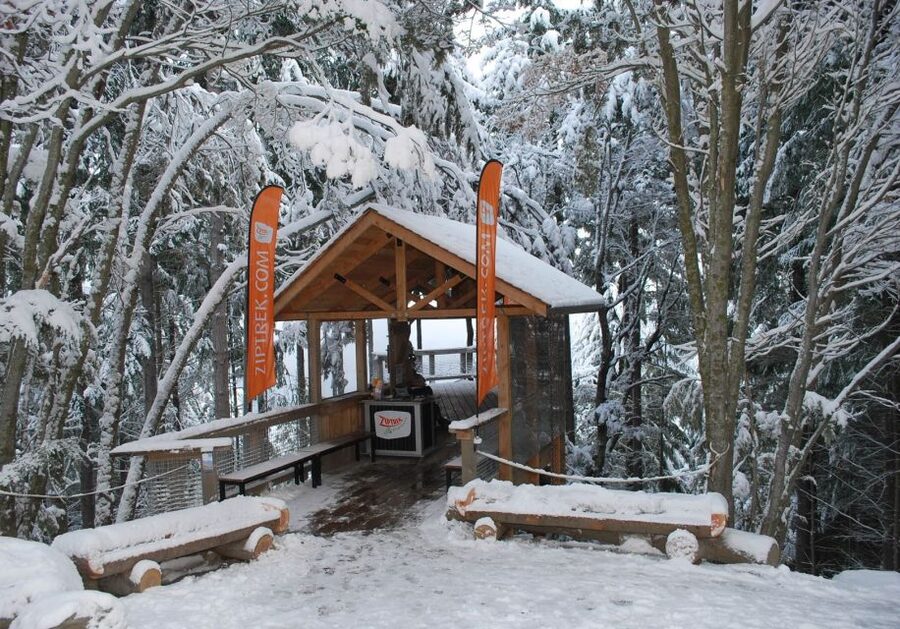 Queenstown: 2-Hour Zipline Tour with 4-Lines - Line-by-Line: Four Zip Lines Through the Treetops