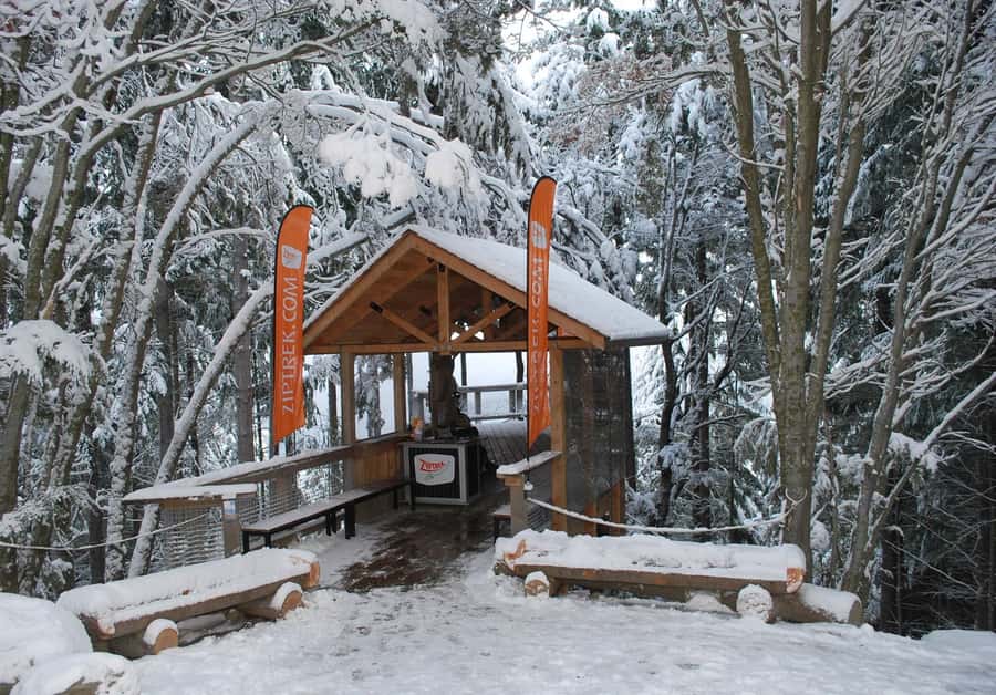 Queenstown: 2-Hour Zipline Tour with 4-Lines - Getting to the Skyline Summit: Meeting at Ziptrek Treehouse