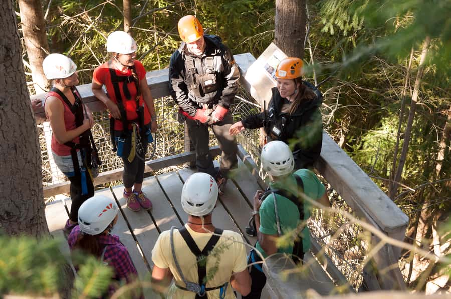 Queenstown: 3-Hour Zipline Adventure with 6-Lines - Key points before you clip in
