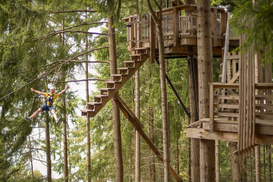 Queenstown: 3-Hour Zipline Adventure with 6-Lines - Lake Wakatipu views and the Remarkables: why you’ll look up a lot