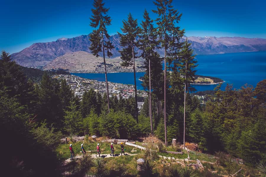 Queenstown: 3-Hour Zipline Adventure with 6-Lines - Safety and guide style: what makes this feel secure