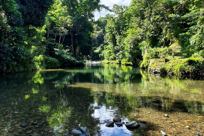 Rainforest and Junglequi Zipline Combo Tour - From the San Juan Marriott to Junglequi: the ride that sets the tone