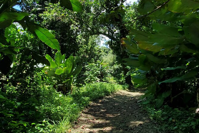 Rainforest and Junglequi Zipline Combo Tour - Luquillo Beach kioskos stop: where you recharge and pick up souvenirs