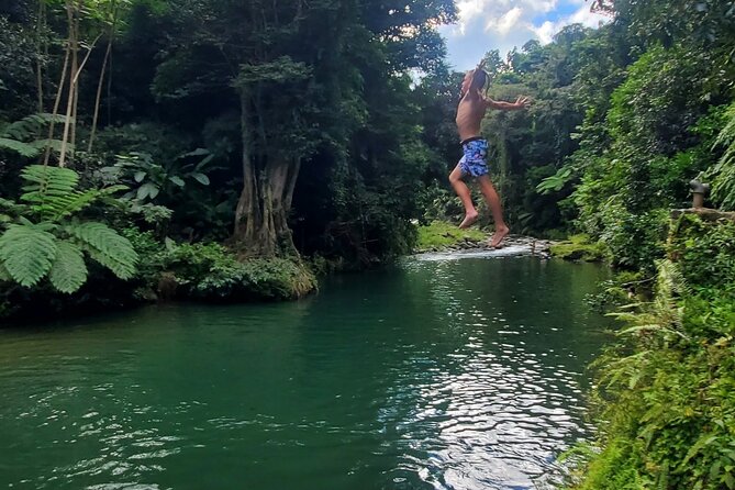 Rainforest and Junglequi Zipline Combo Tour - Price and value: is $200 fair for a full-day zipline tour?