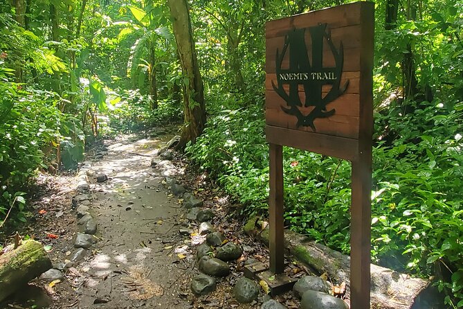 Rainforest and Junglequi Zipline Combo Tour - Tour timing: how the 7.5 hours will feel on your vacation
