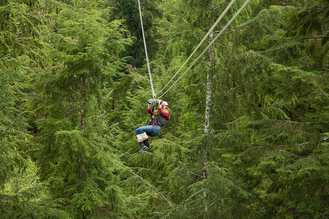 Rainforest Canopy & Zipline Adventure in Ketchikan, AK - 135 Feet Up: The Zipline Course Over Tongass Trees