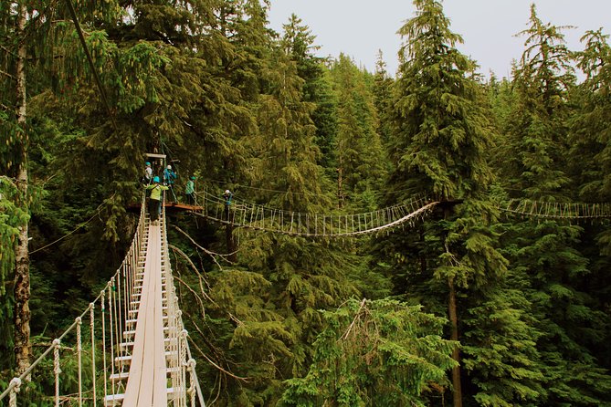 Rainforest Canopy & Zipline Adventure in Ketchikan, AK - Should You Book Kawanti Adventures in Ketchikan?