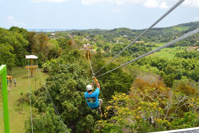 Rainforest Zipline in Foothills of the National Rainforest - Key highlights I’d plan around