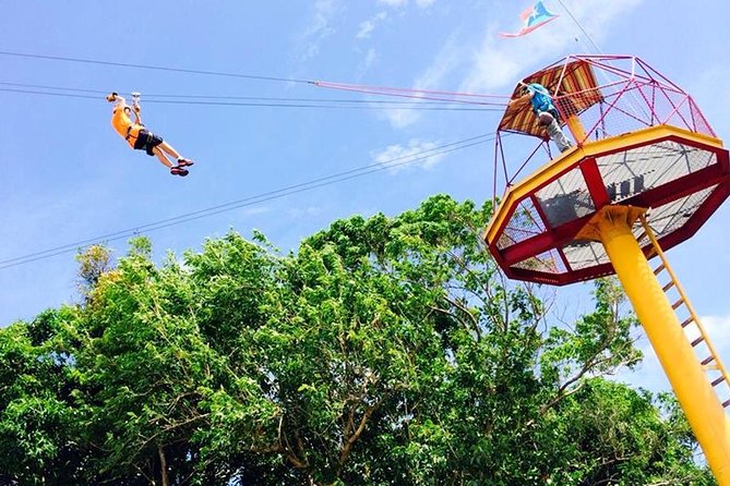 Rainforest Zipline in Foothills of the National Rainforest - Where You Zip: Rio Grande’s Rainforest Park Feel
