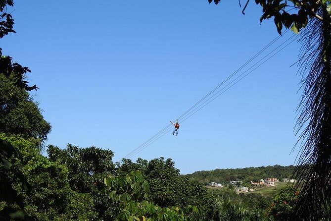 Rainforest Zipline in Foothills of the National Rainforest - What Happens on the Day: The Flow From Check-In to Final Zip