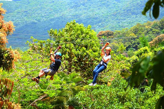 Rainforest Zipline in Foothills of the National Rainforest - Fitness and Safety: Who This Is For (and Who Should Skip)