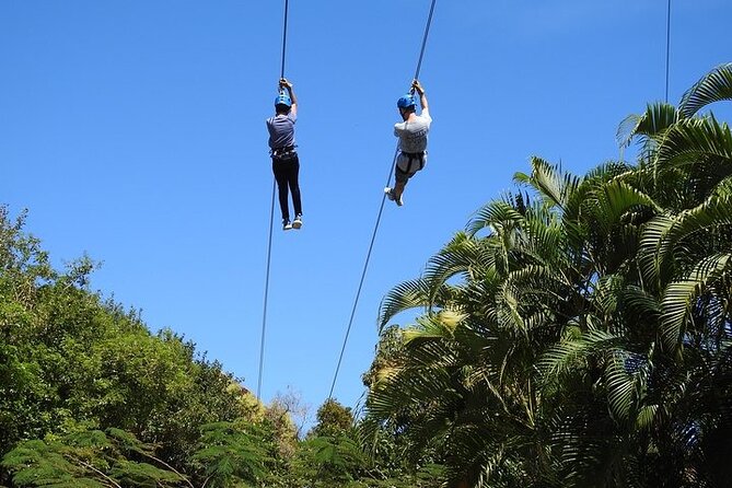Rainforest Zipline in Foothills of the National Rainforest - Photos, Video, and the Real Grip Challenge