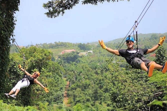 Rainforest Zipline in Foothills of the National Rainforest - Price and Value: Is $111.80 Worth It?