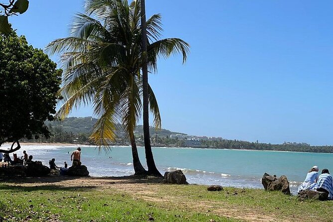 Rainforest Zipline, Luquillo Beach, and Natural Springs Day Trip - What to pack for this wet-and-wild day