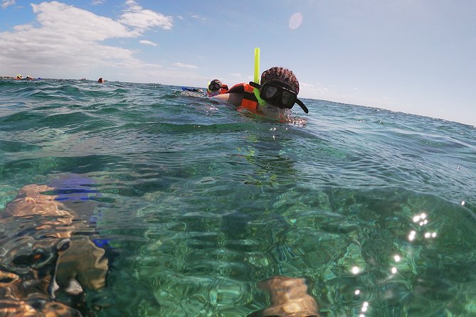 Reef Snorkeling with ATV, Zipline, Cenote that includes lunch and transportation - A Day Built Like an Action Playlist in Puerto Morelos