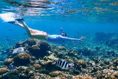 Reef Snorkeling with ATV, Zipline, Cenote that includes lunch and transportation - Snorkeling on the Puerto Morelos Reef: What You’re Actually Chasing