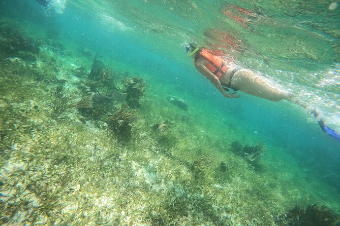 Reef Snorkeling with ATV, Zipline, Cenote that includes lunch and transportation - Cenote Plunge at La Ruta de los Cenotes: Platform Jump or Side Entry