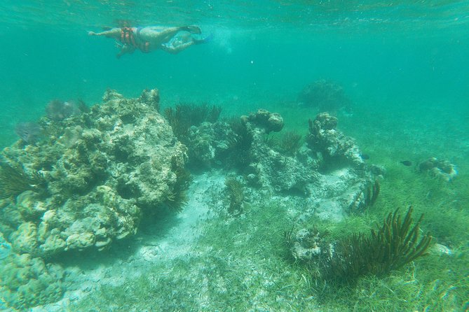 Reef Snorkeling with ATV, Zipline, Cenote that includes lunch and transportation - Price and Value: Is $109.65 Actually a Good Deal?