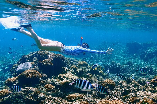Reef Snorkeling with ATV, Zipline, Cenote that includes lunch and transportation - Snorkeling on the Puerto Morelos Reef: What You’re Actually Chasing