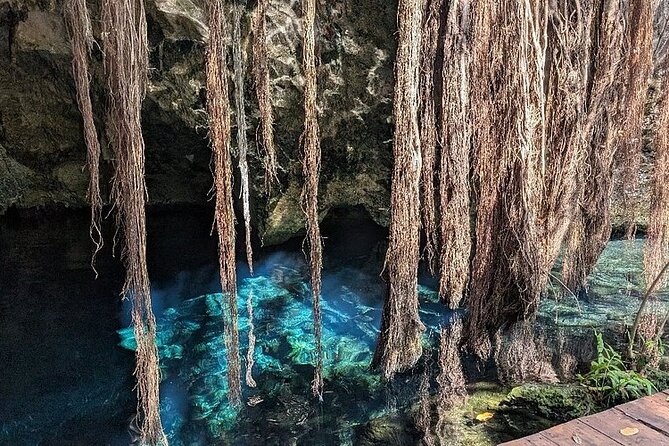 Riviera Maya Half Day Casa Jaguar Cenote, Zipline and ATV - ATV Jungle Trails: The Plus Experience Choice
