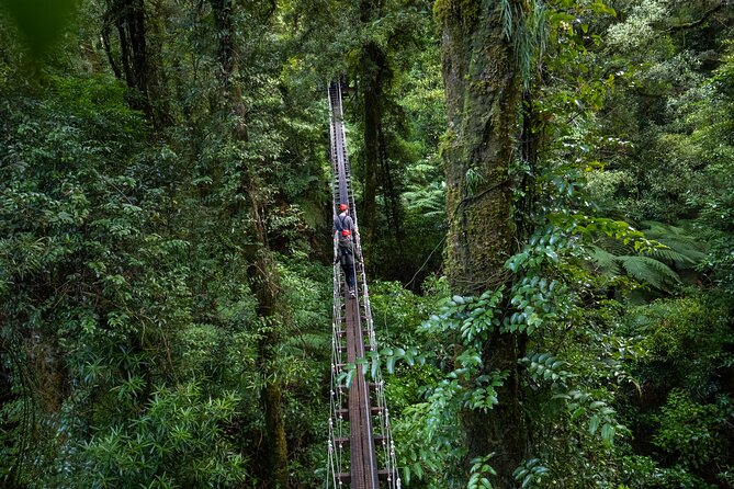 Rotorua Canopy Tours: 2.5Hour Native Forest Zipline Adventure - Getting Suited Up: Safety Gear and the Briefing That Actually Helps