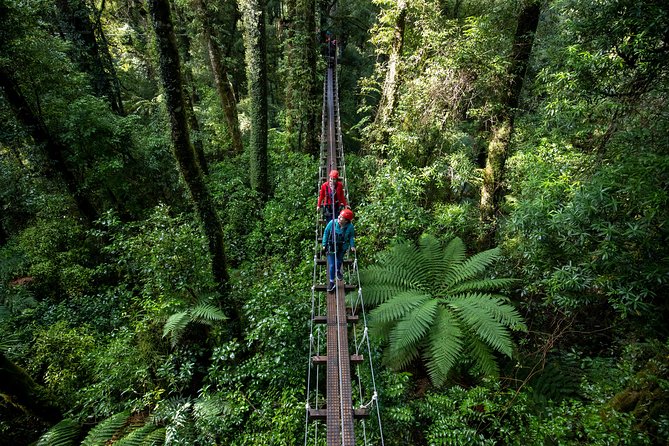 Rotorua Canopy Tours: 2.5Hour Native Forest Zipline Adventure - Price and Value: Is It Worth $123.49?