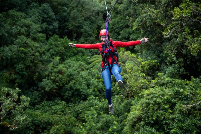 Rotorua Canopy Tours: 2.5Hour Native Forest Zipline Adventure - Who This Zipline Adventure Suits Best (and Who Should Think Twice)