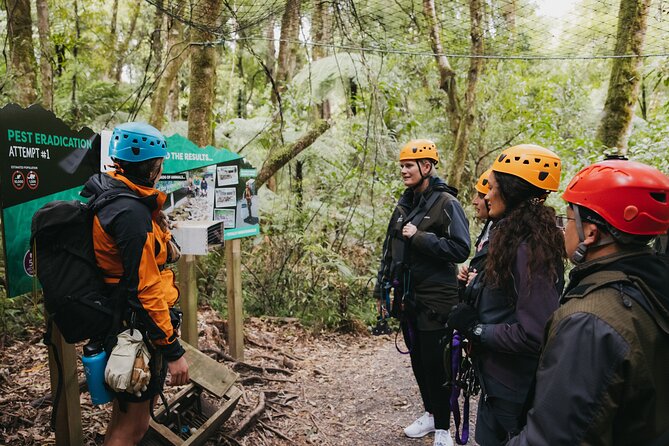 Rotorua Canopy Tours: 2.5Hour Native Forest Zipline Adventure - Should You Book Rotorua Canopy Tours?