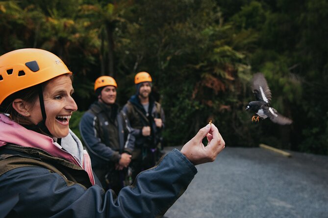 Rotorua Canopy Tours: 2.5Hour Native Forest Zipline Adventure - FAQ