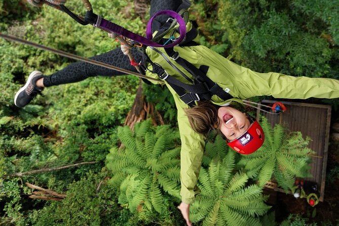 Rotorua’s Ultimate Zipline: 6 ziplines, 400 m Tandem, Cliff Walk - Key Highlights You’ll Care About