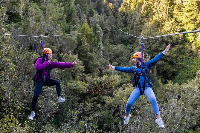 Rotorua’s Ultimate Zipline: 6 ziplines, 400 m Tandem, Cliff Walk - The Six Ziplines: Tandem Zipline Speed Meets Variety