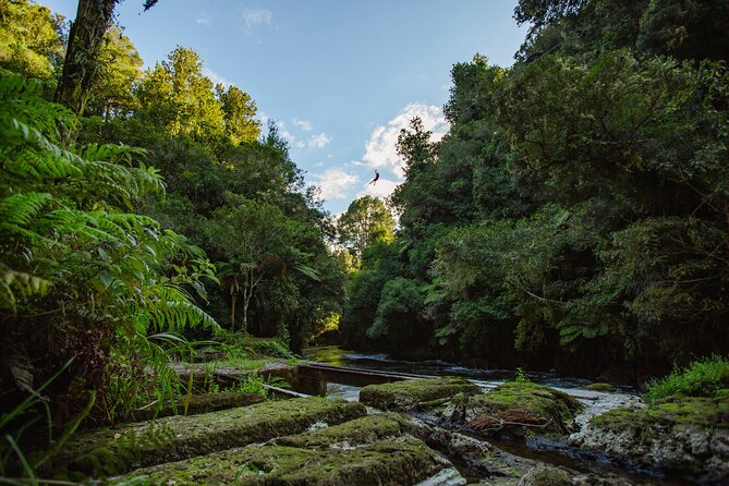 Rotorua Ziplines - Okere Falls Experience - Stop 2 on the Okere Falls Track: swing bridges, boardwalks, and walking time