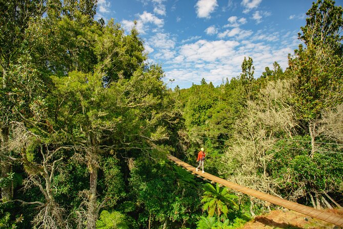 Rotorua Ziplines - Okere Falls Experience - Safety, gear, and nerves: how the guides help you handle heights