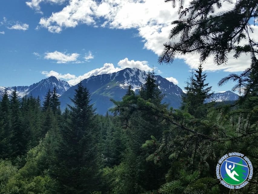 Seward: Stoney Creek Canopy Tour with Zipline - Getting up the valley: the van ride and the first big look
