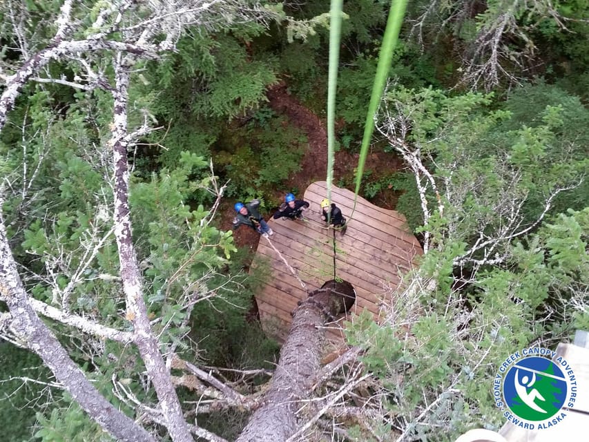 Seward: Stoney Creek Canopy Tour with Zipline - Heading down: from bright valley edges into darker rain forest