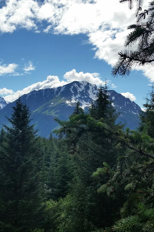 Seward: Stoney Creek Canopy Tour with Zipline - The final push: toward the valley floor and back near the welcome area