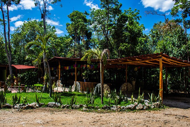 Shared ATV, Zipline, and Cenote Adventure from Playa del Carmen - Photos, lockers, and the price shock factor