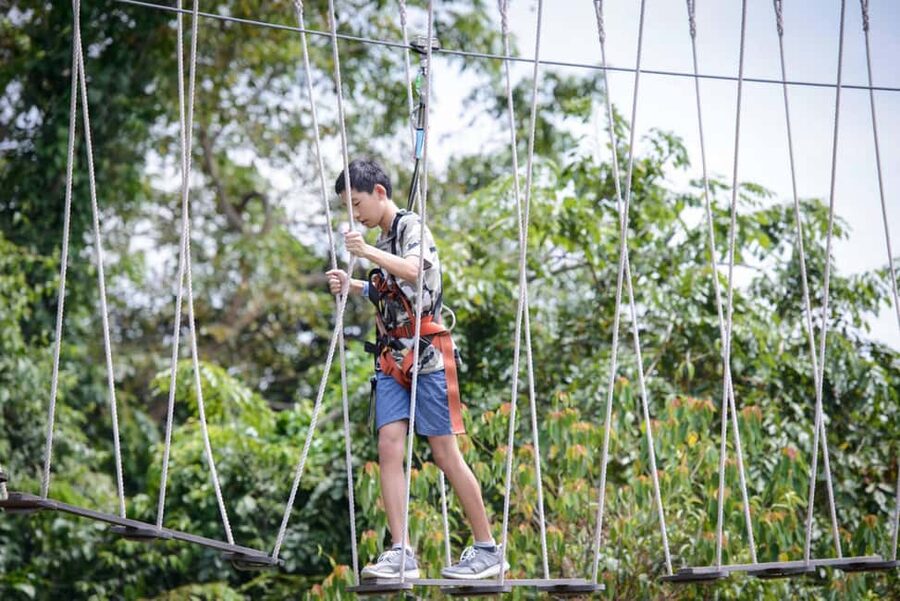 Singapore: Mega Adventure Zipline - Who should book Mega Adventure Zipline (and who might skip it)