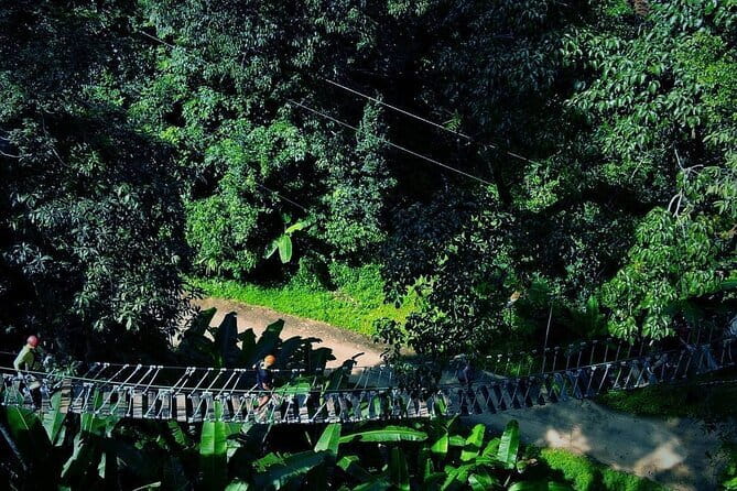 Sky Hawk Zipline Chiang Mai – Ultimate Canopy Adventure - A fast rainforest escape from Chiang Mai city time