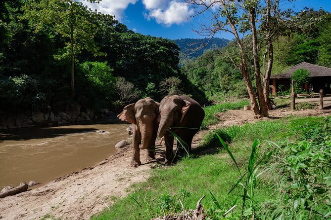 Sky Hawk Zipline Chiang Mai – Ultimate Canopy Adventure - Coach-led safety: what to expect on the course