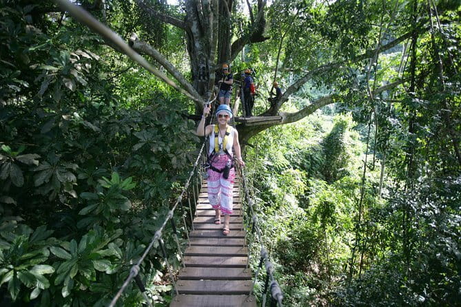 Sky Hawk Zipline Chiang Mai – Ultimate Canopy Adventure - Choosing your zipline package: what changes and how to pick