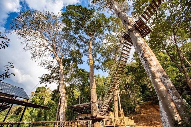 Sky Hawk Zipline Experience in Chiang Mai - Safety First: Briefing, Gear, and How It Actually Helps