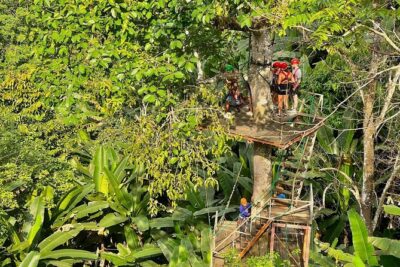 Sky Hawk Zipline Experience in Chiang Mai - Getting There from Chiang Mai: Pickup Can Save Your Day