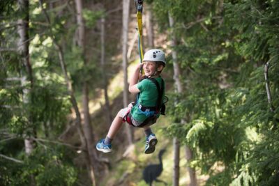 Small-Group Zipline Adventure in Queenstown - The platform experience: gear, coaching, and nerves management