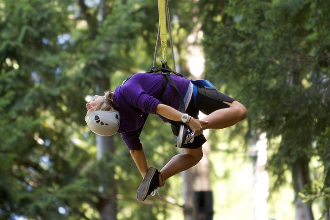 Small-Group Zipline Adventure in Queenstown - Who should book this zipline—and who should skip it