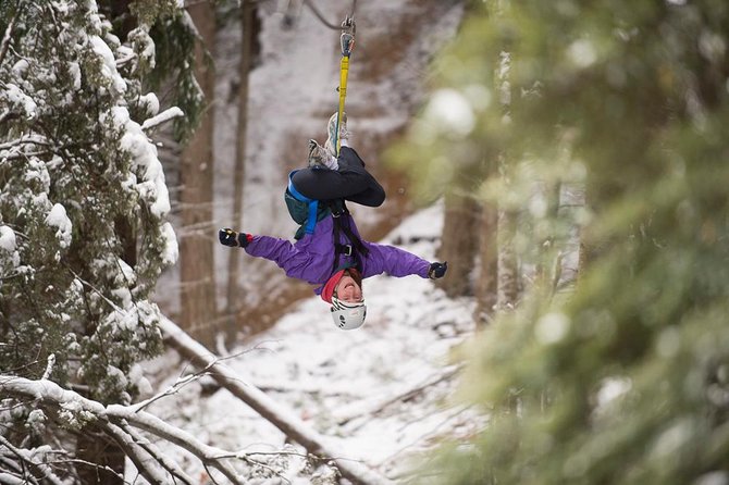 Small-Group Zipline Adventure in Queenstown - Should you book Ziptrek in Queenstown?