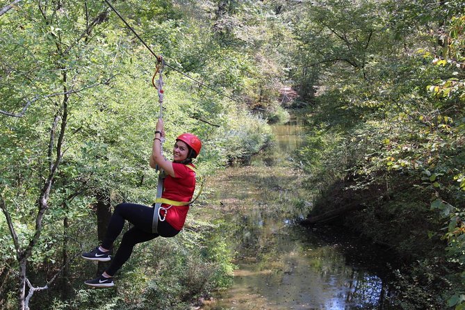 Small-Group Zipline Tour in Hot Springs - Price and What You Really Get for $66.67