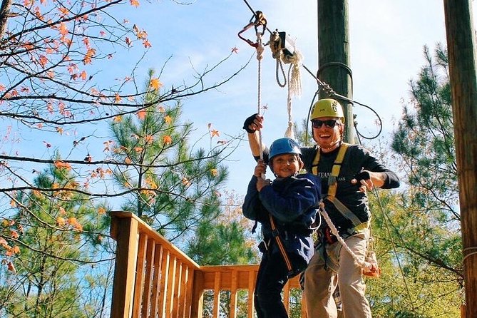 Small-Group Zipline Tour in Hot Springs - Flying Through Old-Growth Forest and Over Water