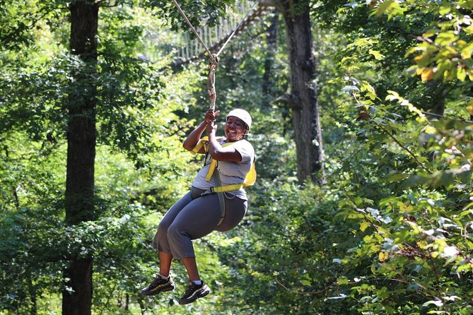 Small-Group Zipline Tour in Hot Springs - The 90-Minute Flow: How the Tour Moves From Platform to Platform